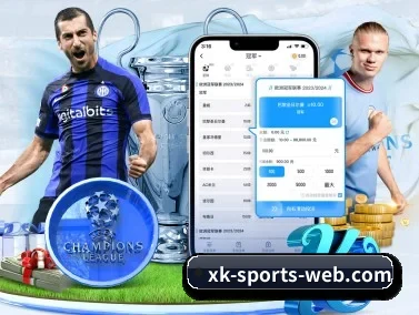XK星空体育 APP(XKSPORTS)