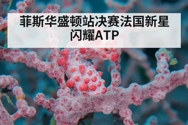 菲斯华盛顿站决赛法国新星闪耀ATP（XKSPORTS）