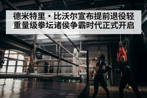 德米特里·比沃尔宣布提前退役轻重量级拳坛诸侯争霸时代正式开启